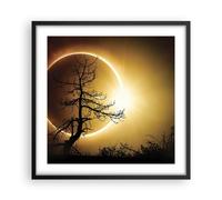 Poster 50x50cm Eclipse il sole l'albero Stampe Immagini Quadri Moderni Murale