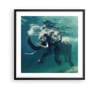 Poster 50x50cm elefante animale acqua Stampe Immagini Quadri Moderni Murale