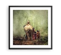 Poster 50x50cm elefante giungla nebbia Stampe Immagini Quadri Moderni Murale
