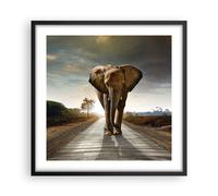 Poster 50x50cm Elefante Strada Campagna Stampe Immagini Quadri Moderni Murale