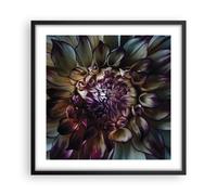 Poster 50x50cm Foglie Agave Fiore Stampe Immagini Quadri Moderni Murale