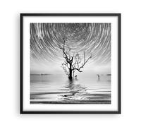 Poster 50x50cm In bianco e nero albero lago Stampe Immagini Quadri Moderni