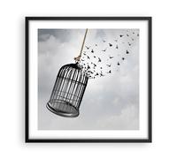 Poster 50x50cm Libertà gabbia uccelli Stampe Immagini Quadri Moderni Murale
