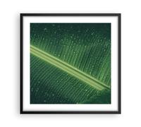 Poster 50x50cm Macro Foglia Gocce Stampe Immagini Quadri Moderni Murale