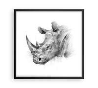 Poster 50x50cm Rinoceronte Ritratto Grafica Stampe Immagini Quadri Moderni