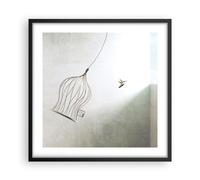 Poster 50x50cm Volo uccello gabbia Stampe Immagini Quadri Moderni Murale