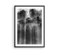 Poster 50x70cm Alberi Dentro Nebbia Stampe Immagini Quadri Moderni Murale