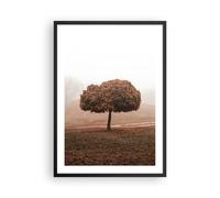 Poster 50x70cm Albero Autunno Natura Stampe Immagini Quadri Moderni Murale