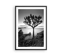 Poster 50x70cm Albero Bianco E Nero Vista Stampe Immagini Quadri Moderni Murale