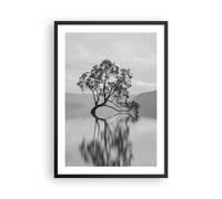 Poster 50x70cm Albero Simmetria Lago Stampe Immagini Quadri Moderni Murale