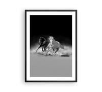 Poster 50x70cm Andaluso Cavalli Galoppo Stampe Immagini Quadri Moderni Murale