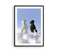 Poster 50x70cm Animali bellezza concorrenza Stampe Immagini Quadri Murale
