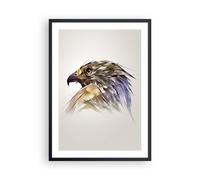Poster 50x70cm aquila uccello piuma Stampe Immagini Quadri Moderni Murale
