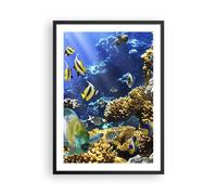 Poster 50x70cm Barriera corallina oceano granchio pesce Stampe Quadri Murale