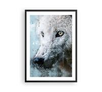 Poster 50x70cm Bianco il lupo foto Stampe Immagini Quadri Moderni Murale