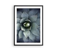 Poster 50x70cm Blu Foglie Agave Stampe Immagini Quadri Moderni Murale