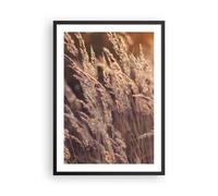 Poster 50x70cm Boho Spighe Di Grano Campo Stampe Immagini Quadri Moderni Murale