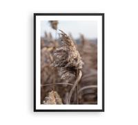 Poster 50x70cm Boho Spighe Di Grano Erba Stampe Immagini Quadri Moderni Murale