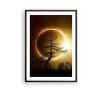 Poster 50x70cm Eclipse il sole l'albero Stampe Immagini Quadri Moderni Murale