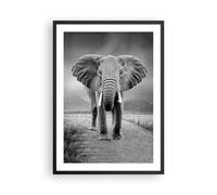Poster 50x70cm Elefante natura selvaggia natura Stampe Immagini Quadri Murale