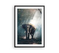 Poster 50x70cm elefante natura Stampe Immagini Quadri Moderni Murale