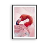 Poster 50x70cm Fenicottero uccello ritratto Stampe Immagini Quadri Murale
