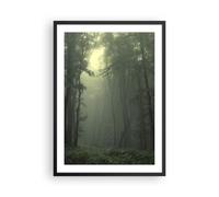 Poster 50x70cm foresta nebbia albero Stampe Immagini Quadri Moderni Murale