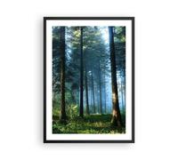 Poster 50x70cm La foresta l'alba il sole Stampe Immagini Quadri Moderni Murale