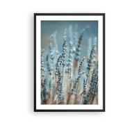 Poster 50x70cm Lavanda Lama Fiore Stampe Immagini Quadri Moderni Murale