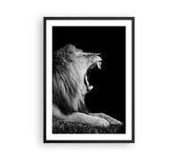 Poster 50x70cm Leone sbadiglio in bianco e nero Stampe Immagini Quadri Murale