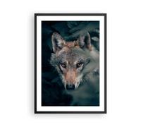Poster 50x70cm Lupo foresta predatore Stampe Immagini Quadri Moderni Murale