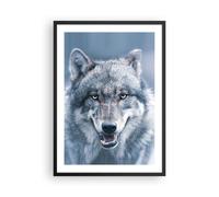 Poster 50x70cm Lupo predatore natura selvaggia Stampe Immagini Quadri Murale