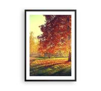 Poster 50x70cm parco autunno albero Stampe Immagini Quadri Moderni Murale