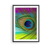 Poster 50x70cm Pavoni piume arcobaleno Stampe Immagini Quadri Moderni Murale
