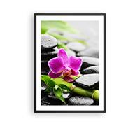 Poster 50x70cm Pianta pietre bambù spa Stampe Immagini Quadri Moderni Murale