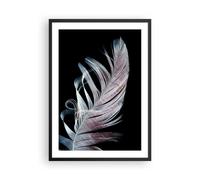 Poster 50x70cm Piuma I Colori Delicatezza Stampe Immagini Quadri Moderni Murale