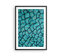 Poster 50x70cm Piume Animali Pavone Stampe Immagini Quadri Moderni Murale