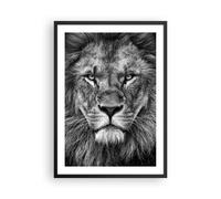 Decorativi Stampa da Parete 50x70cm Poster da Parete Ritratto Leone Bianco E Nero Cucina Decorazione Murale Wall Art Cornice Nera Quadri Moderni Soggiorno Camera da Letto Immagini - P2BPA50x70-4494