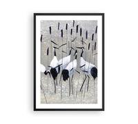 Poster 50x70cm uccello natura acqua Stampe Immagini Quadri Moderni Murale
