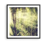 Poster 60x60cm Alba giungla palme Stampe Immagini Quadri Moderni Murale