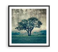 Poster 60x60cm albero natura campo Stampe Immagini Quadri Moderni Murale