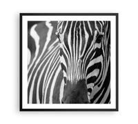 Poster 60x60cm Animali zebra a strisce Stampe Immagini Quadri Moderni Murale