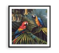 Poster 60x60cm Ara pappagalli palme Stampe Immagini Quadri Moderni Murale