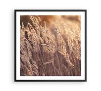 Poster 60x60cm Boho Spighe Di Grano Campo Stampe Immagini Quadri Moderni Murale