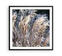 Poster 60x60cm Canna Spighe Di Grano Boho Stampe Immagini Quadri Moderni Murale