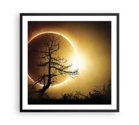 Poster 60x60cm Eclipse il sole l'albero Stampe Immagini Quadri Moderni Murale