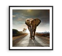 Poster 60x60cm Elefante Strada Campagna Stampe Immagini Quadri Moderni Murale