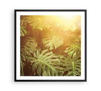 Poster 60x60cm Foglie Monstera Luce Stampe Immagini Quadri Moderni Murale
