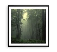 Poster 60x60cm foresta nebbia albero Stampe Immagini Quadri Moderni Murale