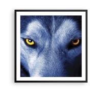 Poster 60x60cm Guarda il lupo gli occhi Stampe Immagini Quadri Moderni Murale